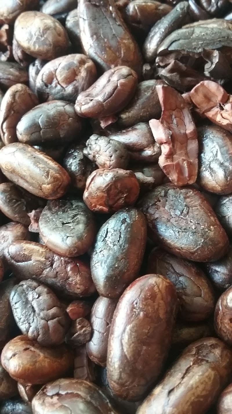 Rafaeli Chocolatier